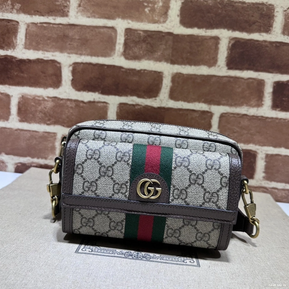 First bag ru bag-20*12.5*9CM Ophidia mini Gucci 0721